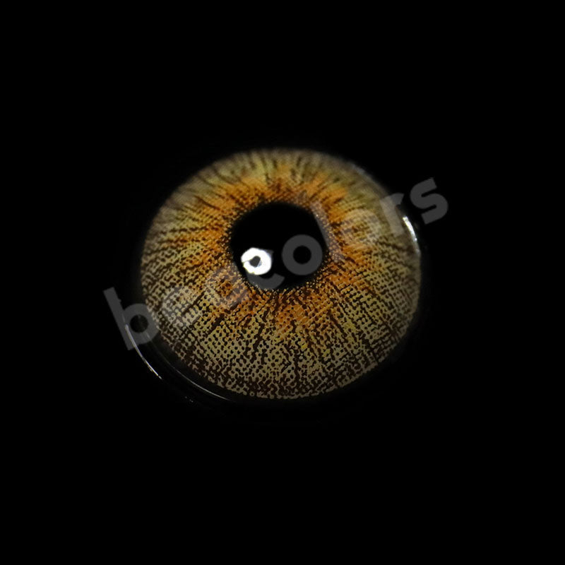 【NEW】Panama Colored Contact Lenses