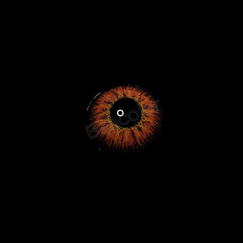 【Prescription】Vika Tricolor Browm Colored Contact Lenses