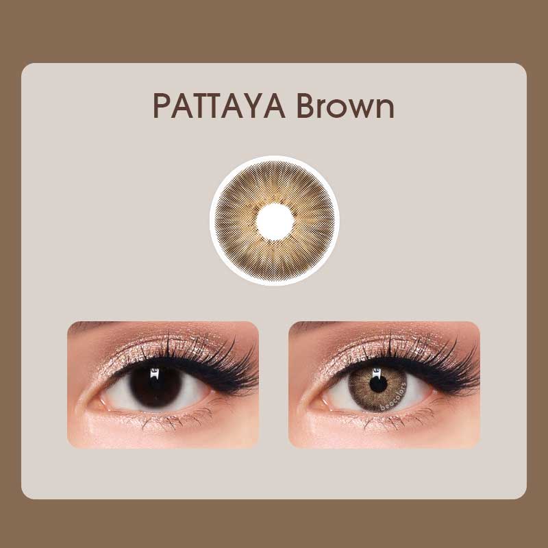 【NEW】PATTAYA Brown Colored Contact Lenses